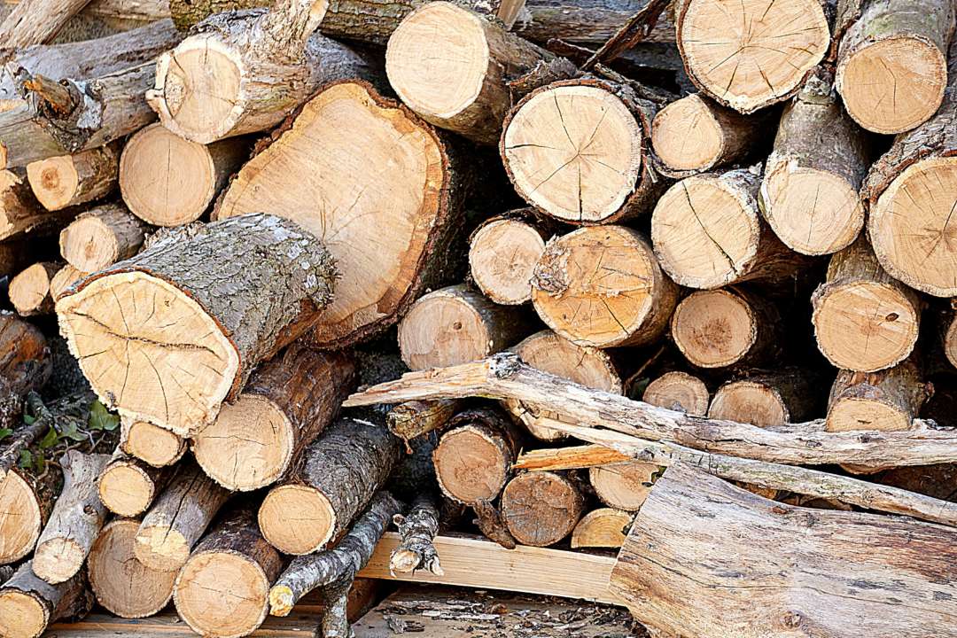 Законопроект №9665 касается "черных лесорубов", незаконных пилорам, но отнюдь не населения/Фото: pexels Законопроект об ограничении хранения дров направлен на борьбу с "черными лесорубами" — нардеп