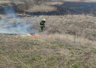 Підпалили очерет біля водоймища і хлопчик опинився у вогняній пастці Підпалили очерет біля водоймища і хлопчик опинився у вогняній пастці