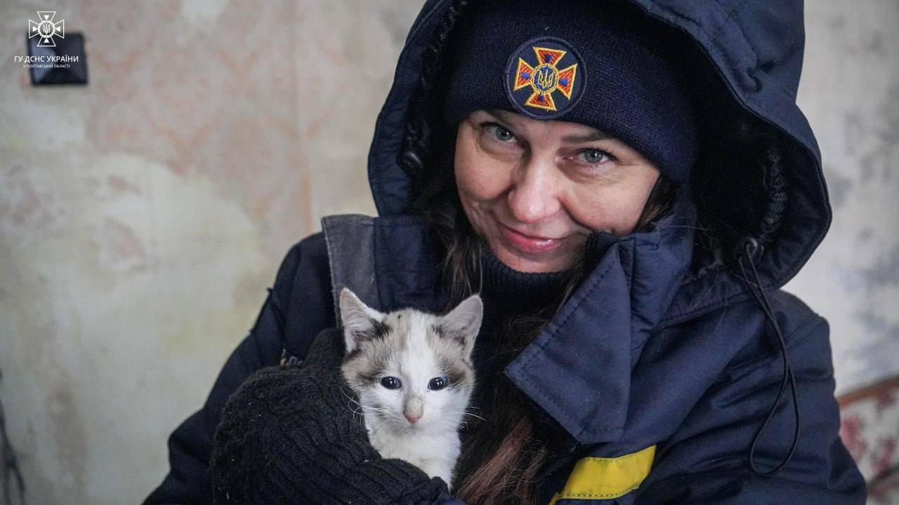 С острова в Полтавской области спасли животных/Фото: ГСЧС С острова в Полтавской области спасли животных/Фото: ГСЧС