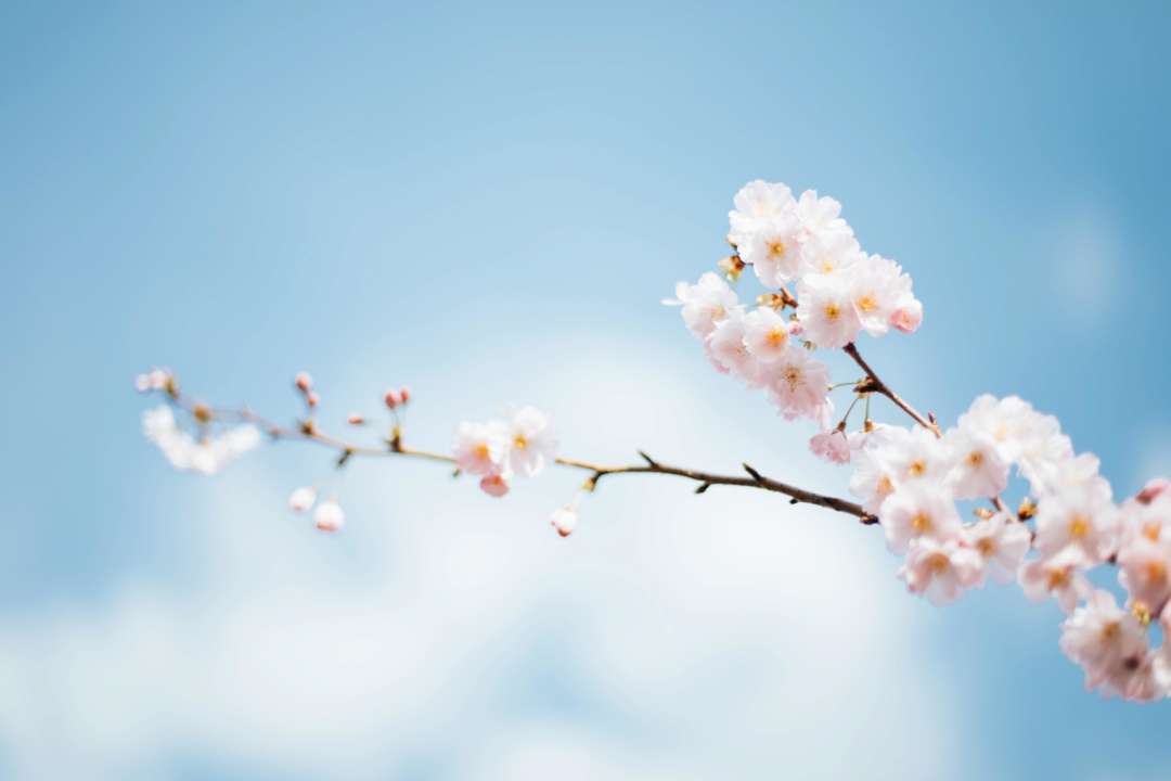 Погода в Україні на 7 квітня/Фото: Unsplash Погода в Україні на 7 квітня/Фото: Unsplash