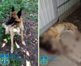Йому загрожує до 3 років позбавлення волі Йому загрожує до 3 років позбавлення волі