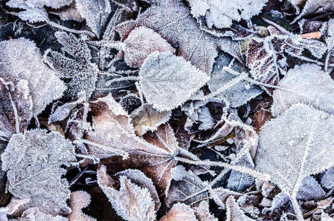 Небезпечна дата: народні прикмети на 25 листопада