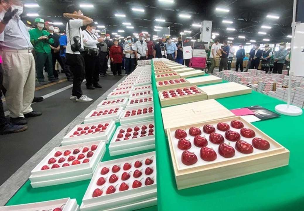 У Японії продають ексклюзивний сорт черешні/Фото: The Asahi Shimbun Черешня
