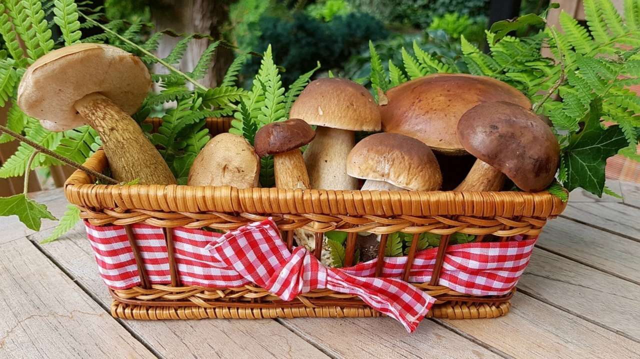 8 продуктів, які забезпечать вітаміном D краще сонця
