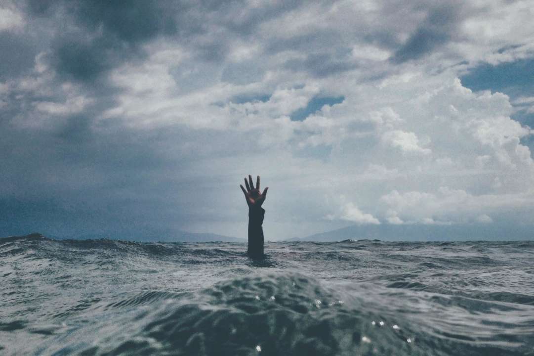 Фото: Unsplash/ Автор - nikko macaspac тест