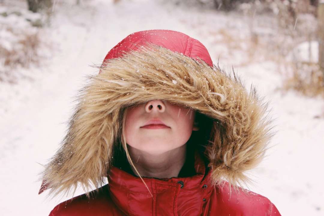 В понедельник школы в Киевской области будут работать онлайн/Фото: Unsplash