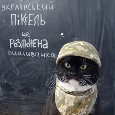 Фото: Кіт Бандера for Instagram Кіт