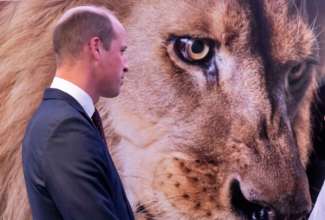 Принц Вільям відвідав перший публічний захід з моменту смерті Єлизавети II/Фото: Getty Images Принц Вільям