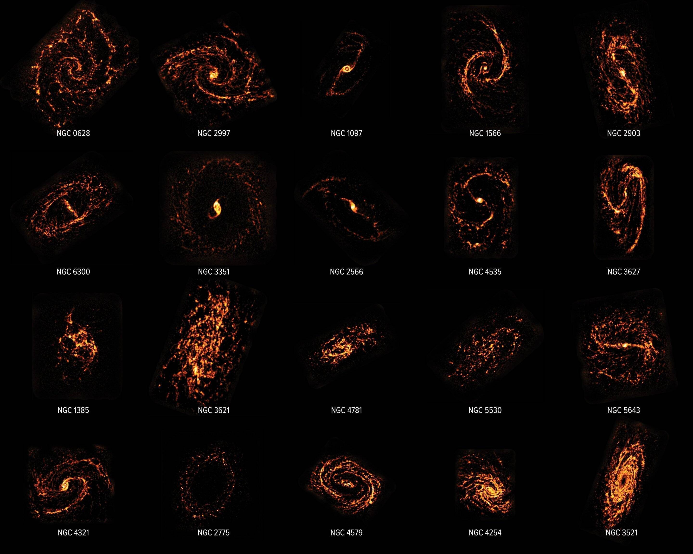 Фото: ALMA (ESO/NAOJ/NRAO)/PHANGS, S. Dagnello Заворожує з перших секунд: астрономи показали різноманітність галактик, в яких формуються зірки