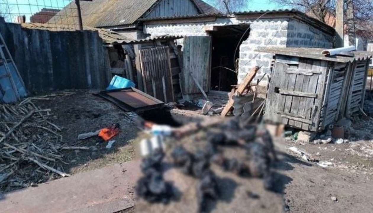 Полиция