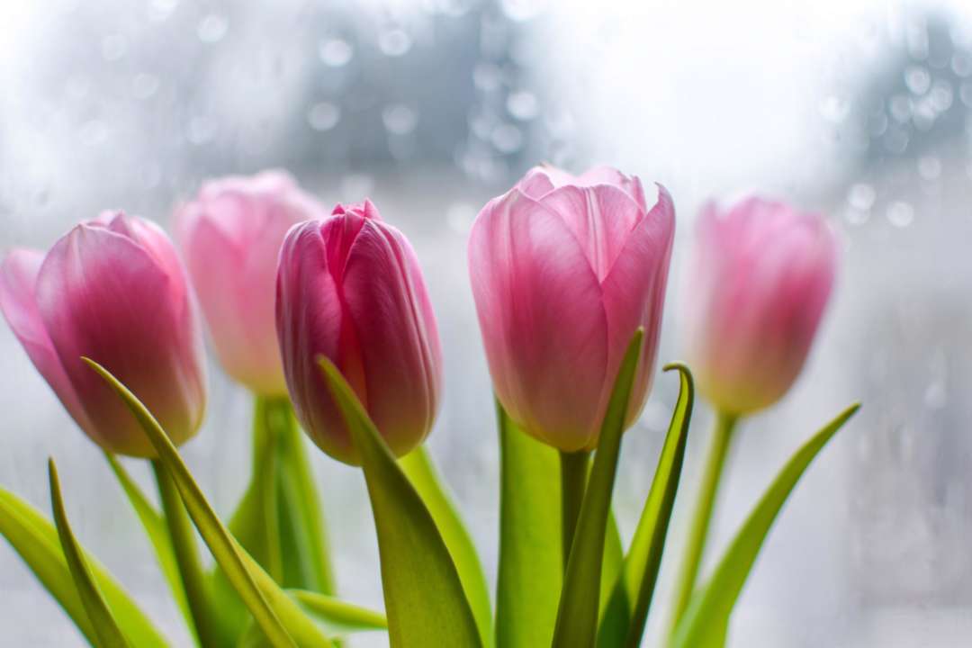 Прогноз погоди в Україні на 10 березня/Фото: Unsplash