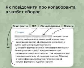 Як розпізнати та повідомити про колаборанта / Фото: Дія Як розпізнати колаборанта: інструкція від Дія