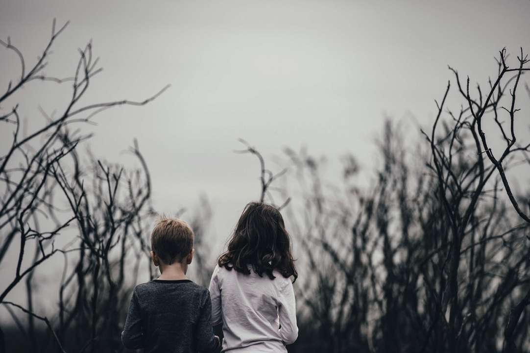 Херсонская область вернула еще троих детей из ВОТ / Фото: Pixabay Херсонская область вернула еще троих детей из ВОТ