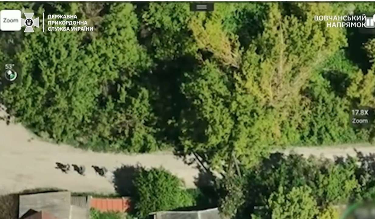 На вовчанському напрямку прикордонники знешкодили групу піхоти противника/Фото: dpsu.gov.ua На вовчанському напрямку прикордонники знешкодили групу піхоти противника