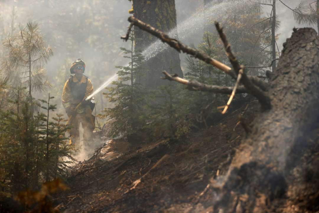 Фото: Getty Images/Автор - Justin Sullivan Лесной пожар