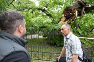 У Києві ураган зламав липу, яку у 1635 році посадив митрополит Петро Могила/Фото: КМДА КМДА