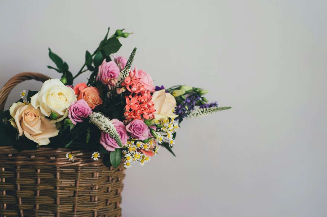 З Днем ангела Світлани/Фото: Unsplash З Днем ангела Світлани/Фото: Unsplash