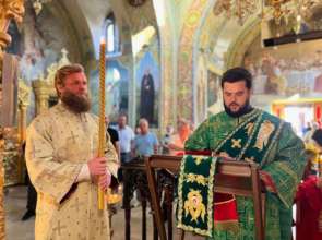 Нардеп став на захист тренера, який облаяв військового Чомусь досі народний депутат: знайшовся захисник тренера, який облаяв військового в Одесі