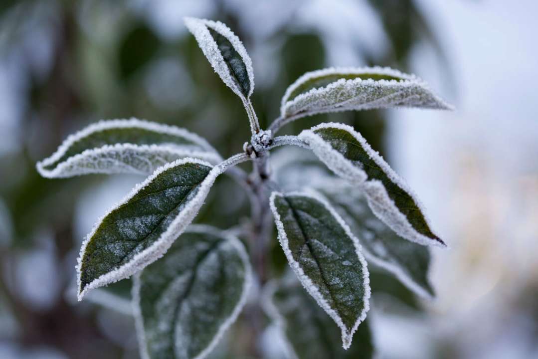Різке похолодання очікується в Україні після 23 листопада/Фото: Getty Images