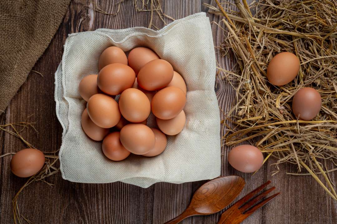 Фото: freepik Вырастут цены на основные продукты в украинских корзинах