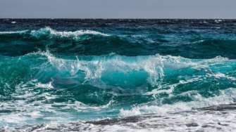 У Чорному морі зацвіла вода / Фото: Pixabay Через підрив Каховської ГЕС у Чорному морі зацвіла вода