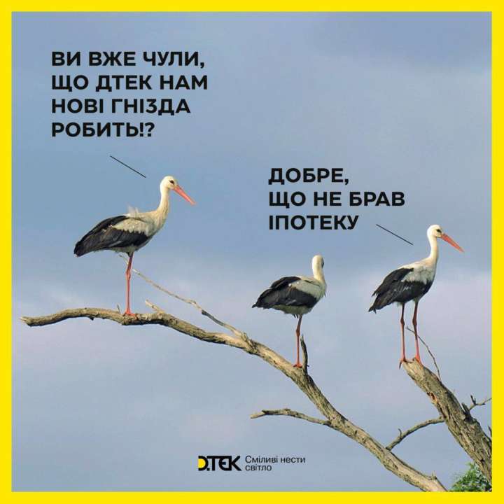 ДТЭК укрепляет гнезда аистов / Фото: t.me/dtek_ua ДТЭК укрепляет гнезда аистов / Фото: t.me/dtek_ua
