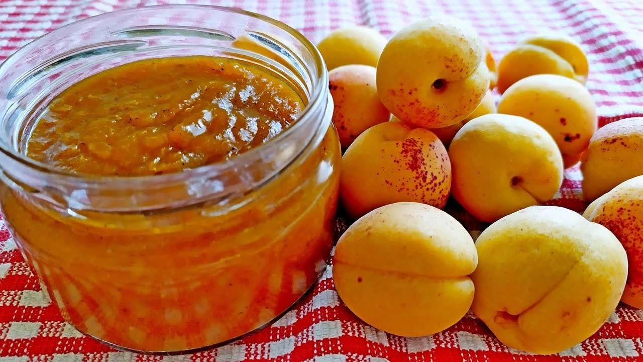 Соус из абрикосов к мясу/Фото: кадр из видео Соус из абрикосов к мясу/Фото: кадр из видео