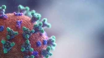 Фото: Unsplash/Автор Fusion Medical Animation rjhjyf