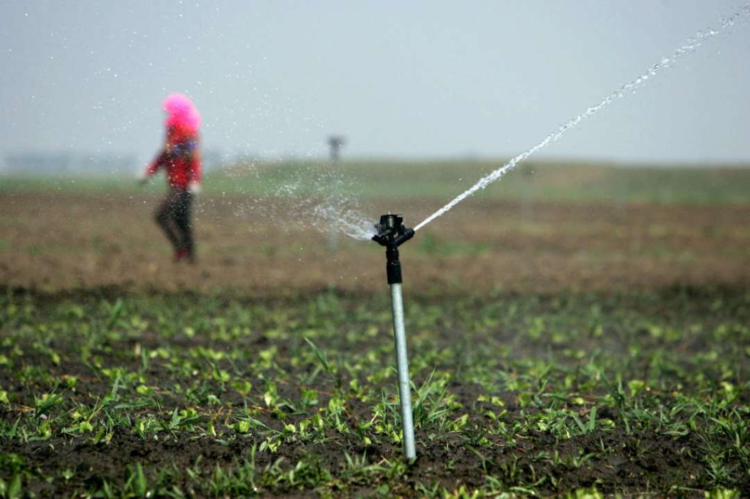Аграрії та організації водокористувачів, які використовують меліоровані землі, зможуть отримати державну підтримку/Фото: Getty Images