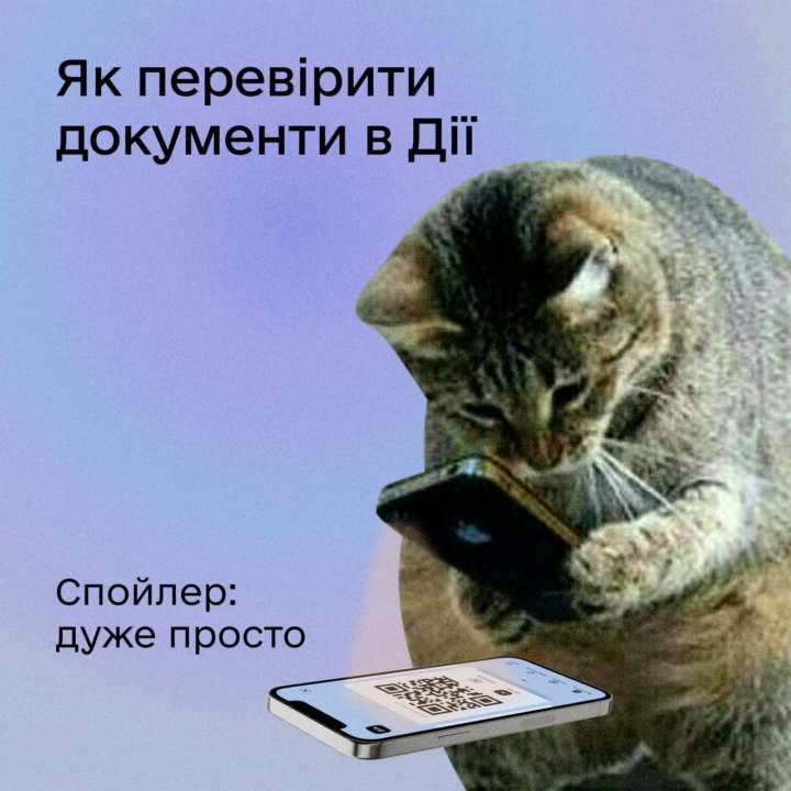 3 простых способа как проверить документы в Дії: инфографика
