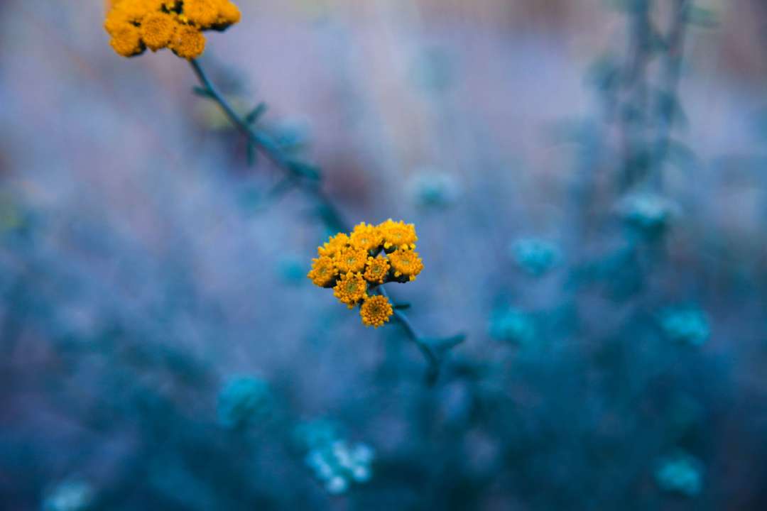 Кто празднует день ангела 20 октября/Фото: Unsplash Кто празднует день ангела 20 октября/Фото: Unsplash