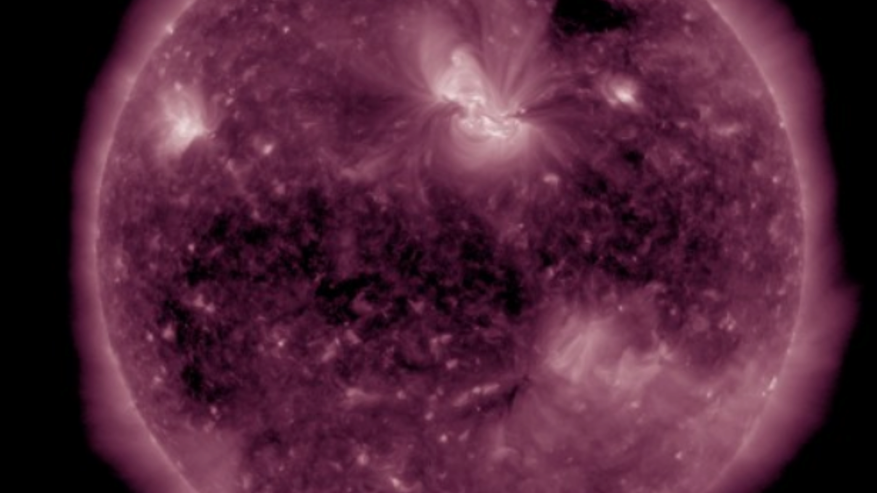 SDO