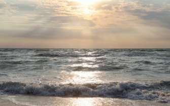 Фото: Pixabay/Автор — Boris_Kuleshov На Азовському морі — нашестя морських бліх: ракоподібні не дають туристам купатися