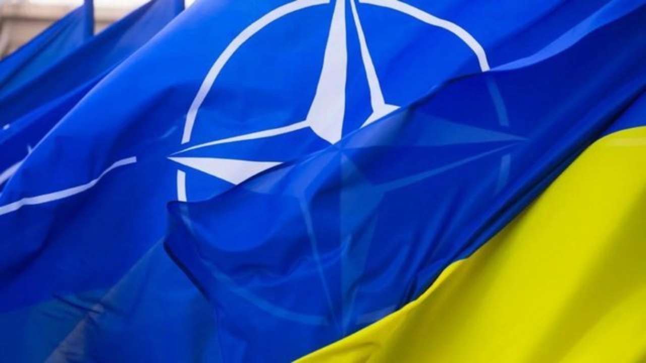 НАТО намерено создать новую должность специального представителя в Украине - СМИ
