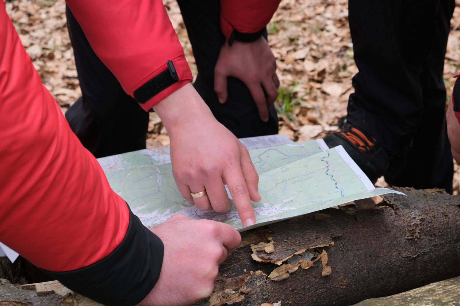 Фото: ДСНС України у Закарпатській області Пошуки зниклого туриста в Карпатах