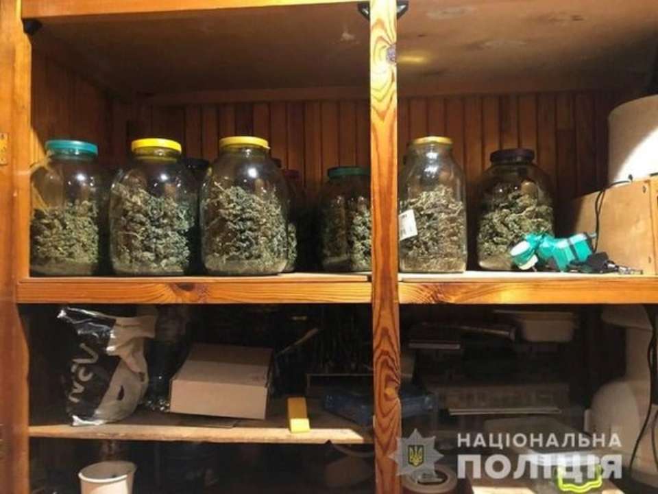 В жителя Киева полиция выявила каннабиса на 200 тысяч гривен