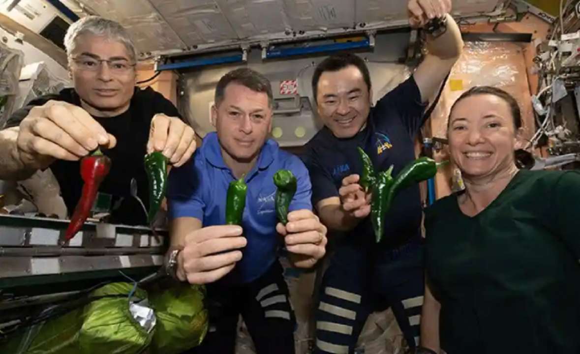 Чотирьом членам екіпажу NASA доведеться одягати підгузки