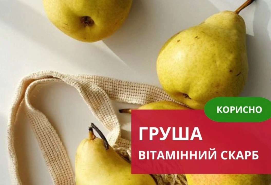Груші не тільки смачні, але й наповнені корисними поживними речовинами, які можуть позитивно вплинути на ваше здоров'я Груші не тільки смачні, але й наповнені корисними поживними речовинами, які можуть позитивно вплинути на ваше здоров'я