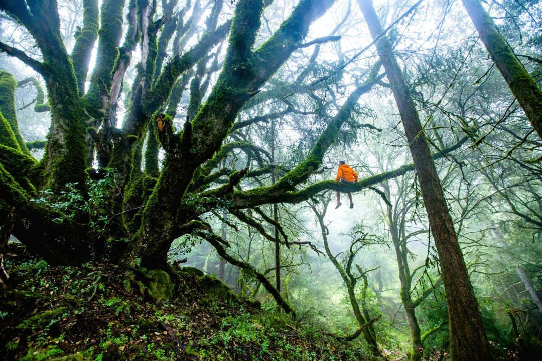 Фото: pixabay.com Фото: pixabay.com