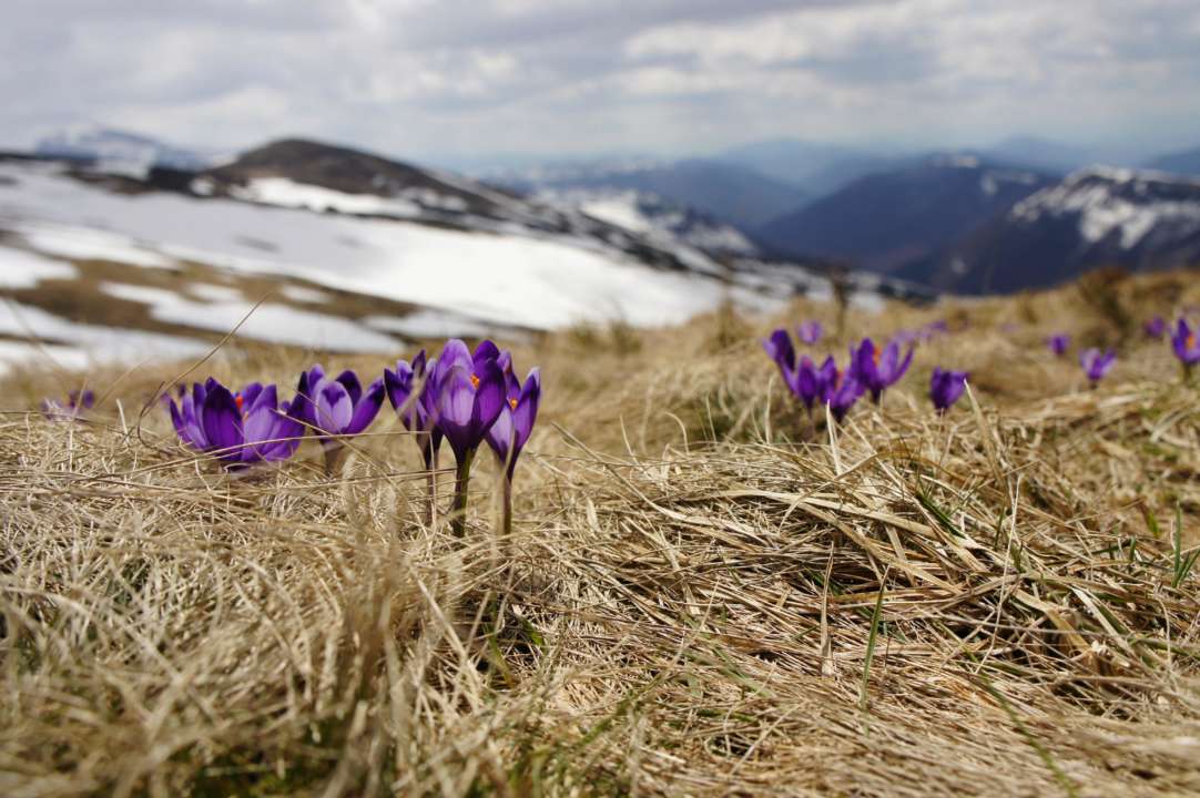 В марте в Украине ожидается снег и морозы/Фото: Unsplash