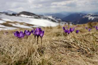 У березні в Україні очікується сніг і морози/Фото: Unsplash У березні в Україні очікується сніг і морози/Фото: Unsplash