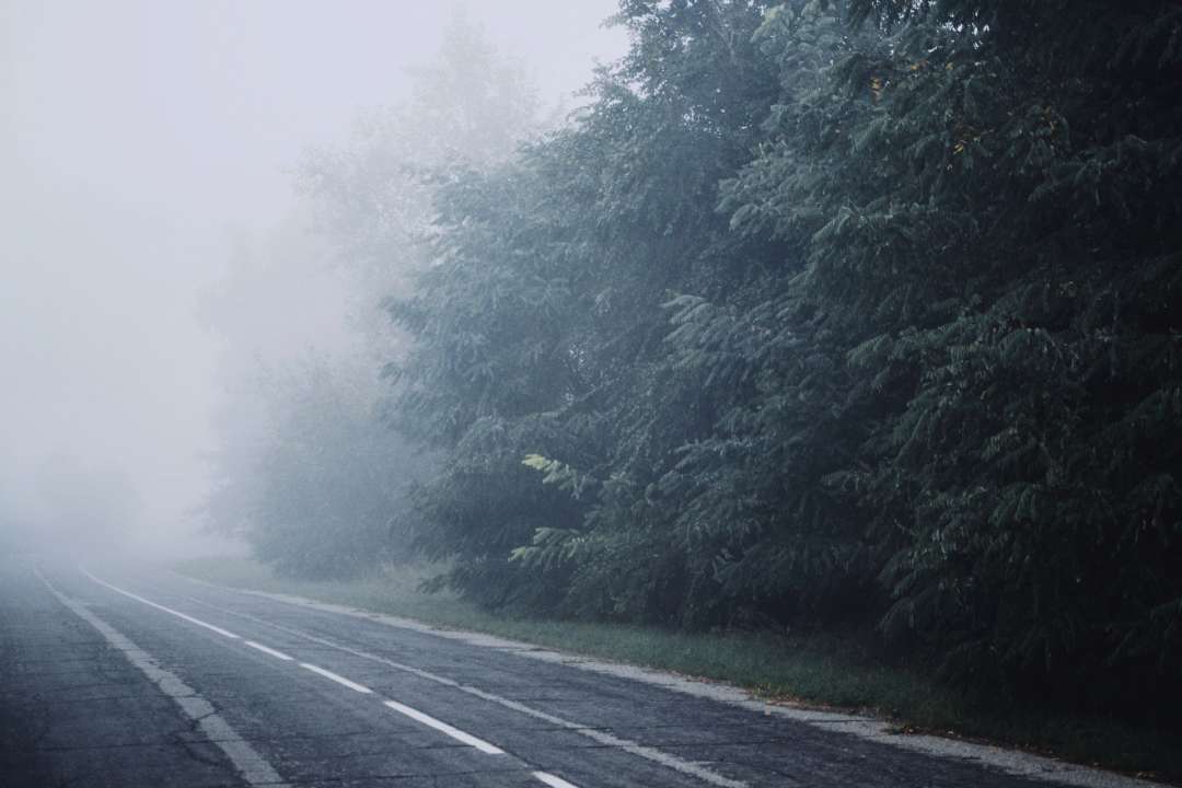 Туман у Києві