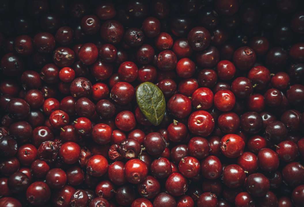 Полезные свойства клюквы для вашего здоровья/Фото: A/Unsplash клюква