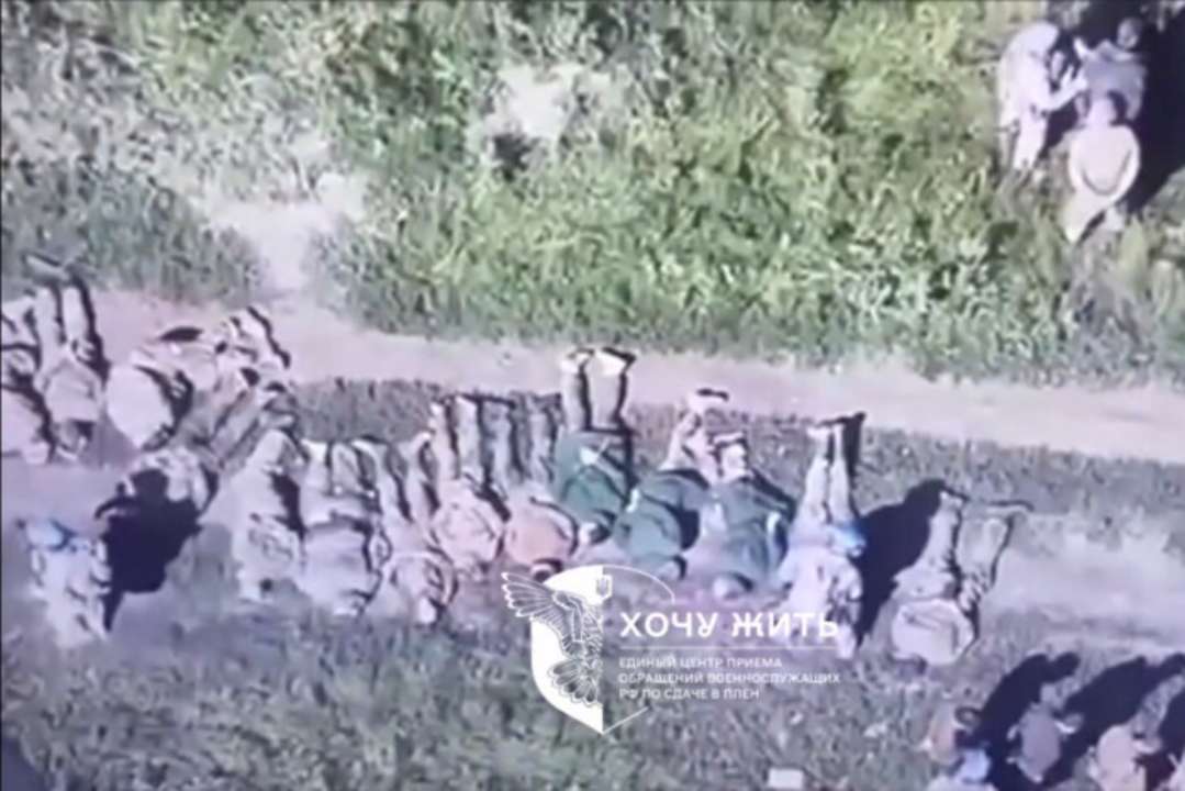 российские командиры оставили на произвол судьбы более 100 солдат/Фото: скрин Рота российских солдат сдалась в плен в Курской области. Видео