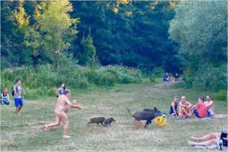 Фото: Facebook Adele Landauer Busch випустила фігурки в честь відомого мема нудиста та кабана