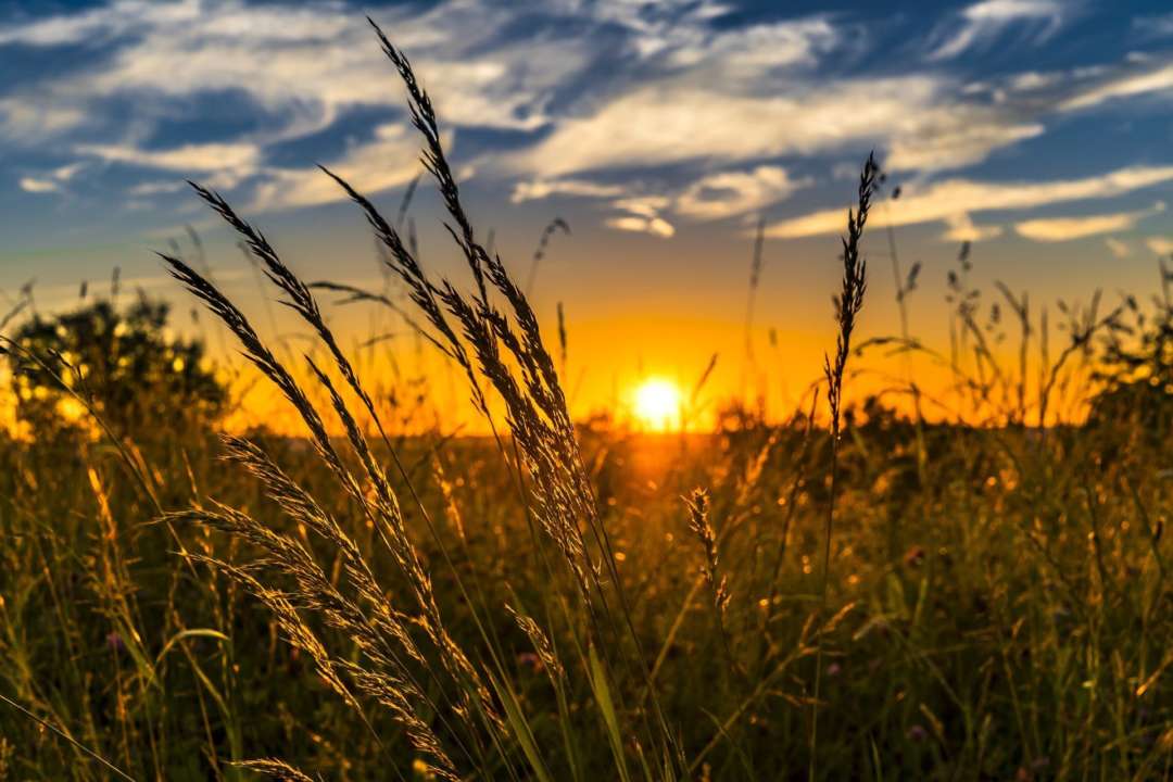 Погода на 30 жовтня в Україні. Фото: Pixabay/Автор- Felix-Mittermeier.de Прогноз погоди на сьогодні
