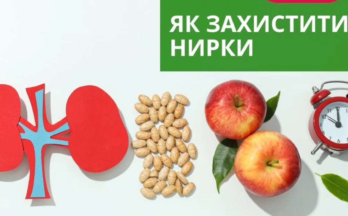 Сбалансированное питание поддерживает функцию почек и предотвращает такие заболевания, как камни в почках и хроническая болезнь почек (ХБП)