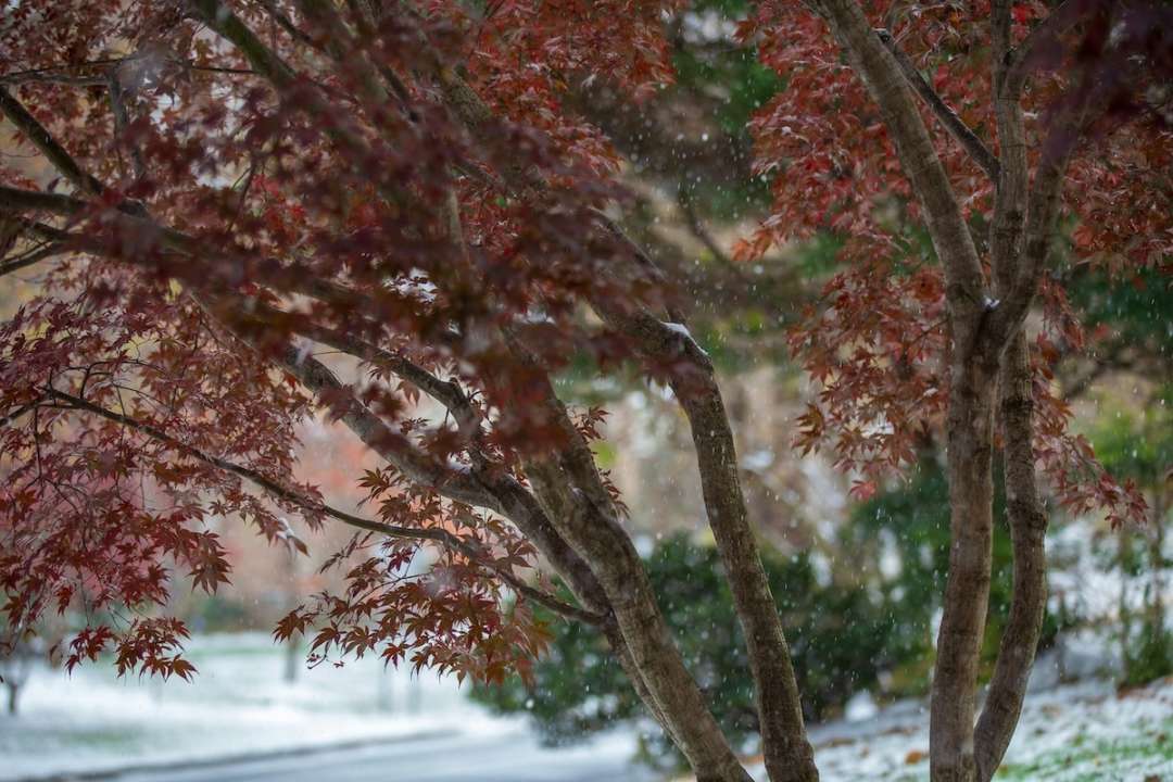 Прогноз погоды в Киевской области 4 ноября/Фото: Unsplash Прогноз погоды в Киевской области 4 ноября/Фото: Unsplash