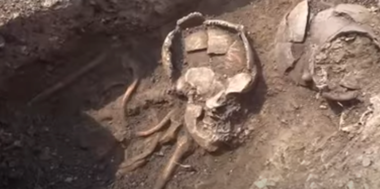 Фото: скриншот видео