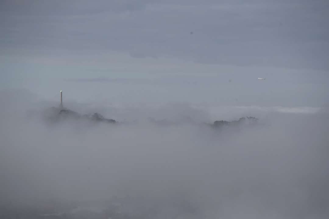 Одесса